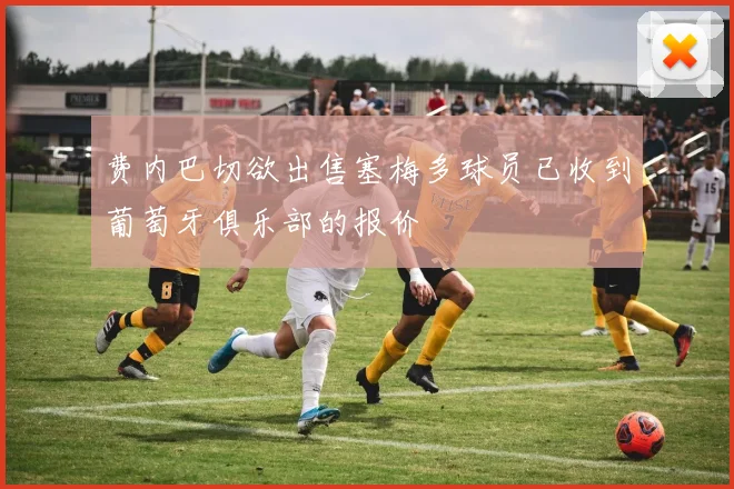 费内巴切欲出售塞梅多球员已收到葡萄牙俱乐部的报价