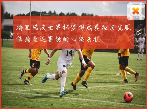 梅里诺谈世界杯梦想成真经历克服伤痛重返赛场的心路历程